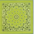 Standard Neon Green Paisley Bandanna